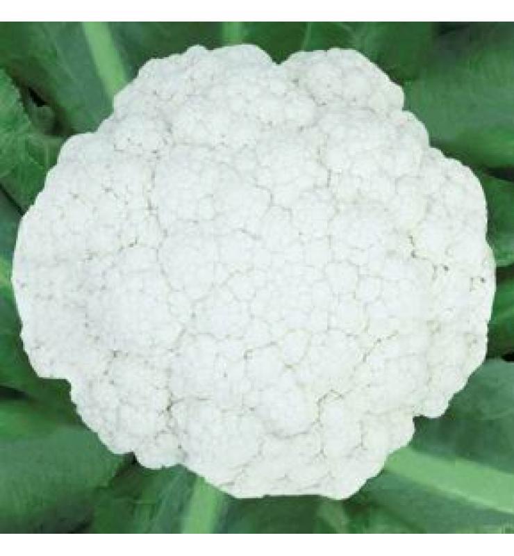 Broccoli\green Stem Cauliflower