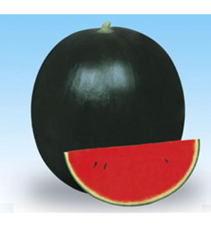 Medium fruit with black skin